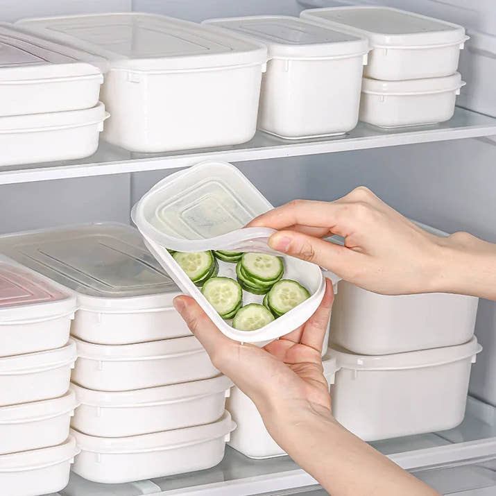 Premium Japanese Food Storage Container Set - Microwave Safe & Airtight