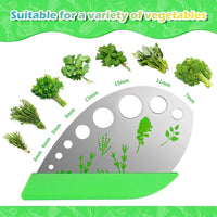 Herbal Scissors Stainless Steel 5 Blade Kitchen Scissors Mince Fresh Herbs & Leafy Greens Kitchen Gadgets with Cover (Green)